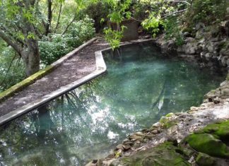 Conoce el balneario natural Las Guasimas en San Pedro Lagunillas
