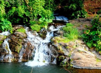 Balneario “El Mamey” bellezas naturales a tu alcance