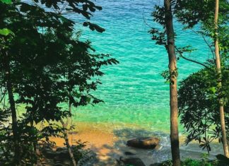 Playa del Toro : aguas turquesas y cristalinas en Nayarit