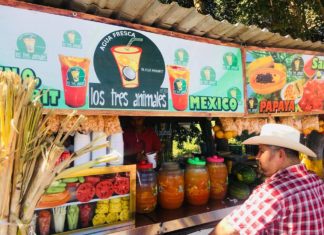 Aguas frescas “Los tres animales” una delicia de Tecuala Nayarit