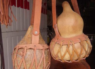 Bules de guajes una tradición de nuestra tierra