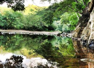 Arroyo El Chilte, una maravilla escondida en Tepic