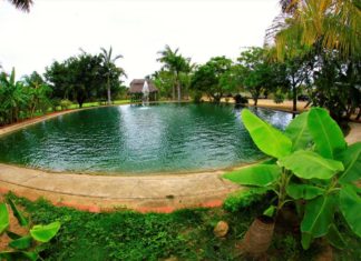Vista paraíso: divertidos tours y recorridos en la Riviera Nayarit