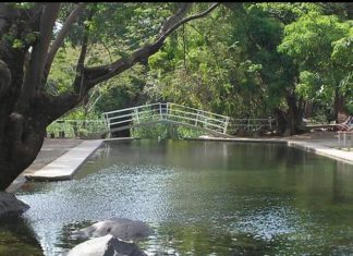 El Salto del Coronel: maravillosas aguas de manantial en Amatlán de Cañas