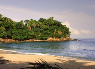 Punta Monterrey: un oasis Nayarita que alberga tesoros naturales