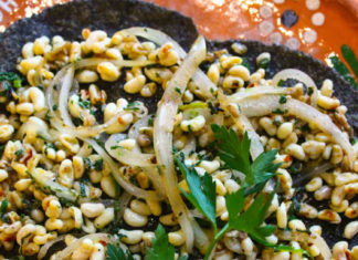 Escamoles: larvas de hormiga ¡Totalmente comestibles y deliciosos!