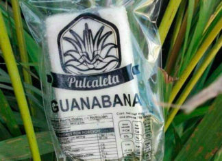 Y tú ¿ya probaste las paletas heladas de pulque?