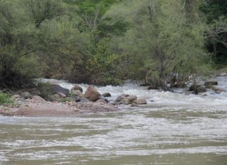 Arroyo “El jejito” en Huajicori, un lugar ideal para toda la familia