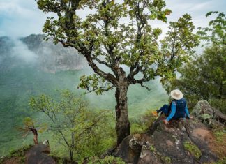 8 cosas que hacen de El Nayar un lugar increíble