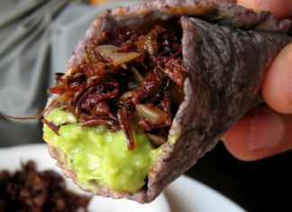 Tacos de chapulines (Receta)