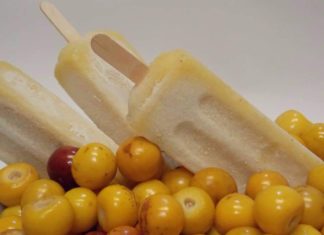 Refrescantes paletas heladas de nanche.