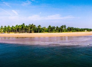Conoce la playa Punta El Custodio, el paraíso de las tortugas