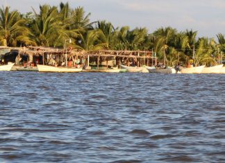 Boca de Camichín, La capital del ostión en Nayarit