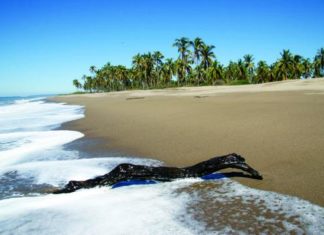 Playa Boca de chila: el lugar ideal para descansar