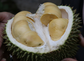 Conoce el durian, la fruta más apestosa del mundo