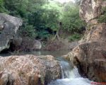 41072688