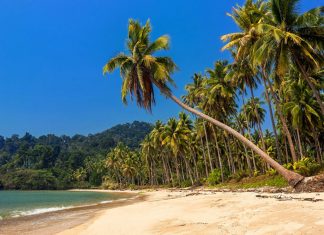 Playa Miramar la mejor opción para reencontrarte