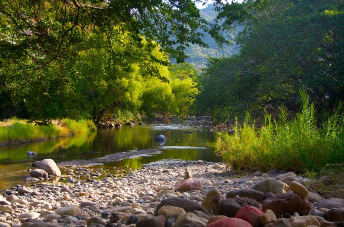 canon-tenamache-nayarit