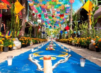 Día de muertos en Sayulita: Un festival impresionante que lució en el 2019.