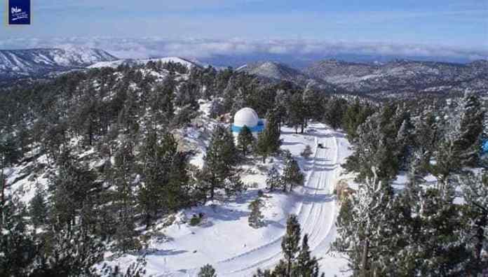 1-nevada