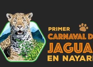 Se celebra en Nayarit el 1er carnaval del jaguar