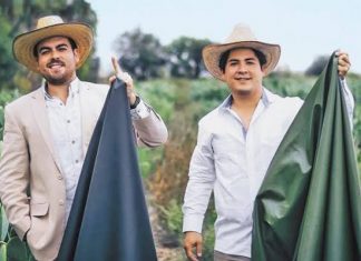 Mexicanos crean tela ¡Hecha a base de nopal!