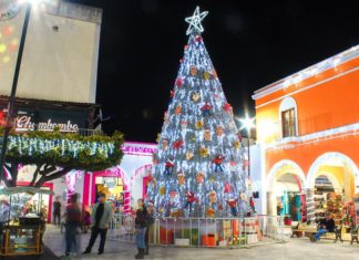 Ixtlán del Río se luce con su decoración navideña