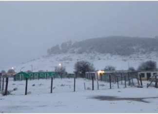 No es USA, es en México: sorprendentes fotos de las primeras nevadas