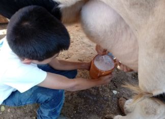 “El pajarete” una bebida que es toda una tradición mexicana