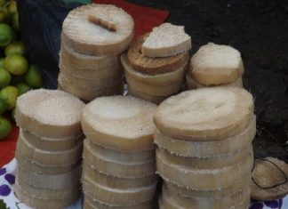 El “quiote” de Xalisco Nayarit, un delicioso remedio
