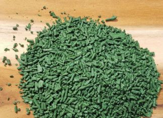 La espirulina : El súper alimento que se cultiva en Nayarit por emprendedora pareja