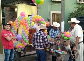 La burrita tequilera, una tradición de los pueblos nayaritas que no te puedes perder