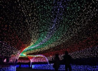 Llega a México el sorprendente festival de luces de Japón