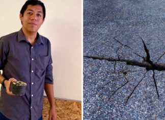 Mexicano inventa pavimento que se regenera con el agua