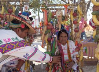 Comunidad de Zitacua en Tepic, nombra nueva gobernadora