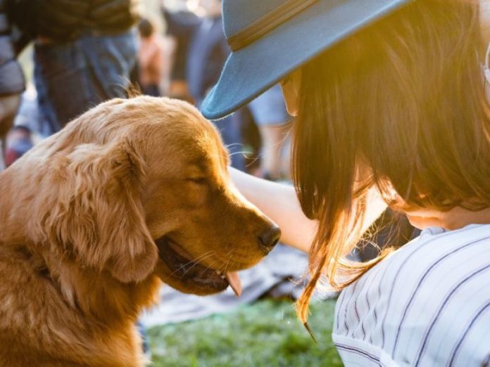 Ambientalistas piden que ya no le digas mascota a tu perro porque es despectivo 1