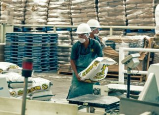 El Porqué no Deberías de Comprar tus Tortillas en el Supermercado