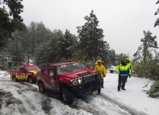El Volcán Nevado de Colima Registra 20 Centímetros de Capa de Nieve por Frente Frío 38