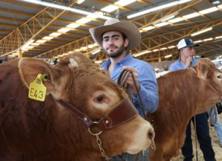 San José del Valle, Sede de la Expo Ganadera 2020