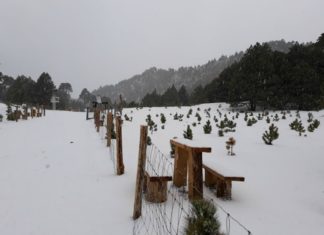 Conoce un Lugar con Nieve sin Salir de Jalisco, a 8 Horas de Vallarta