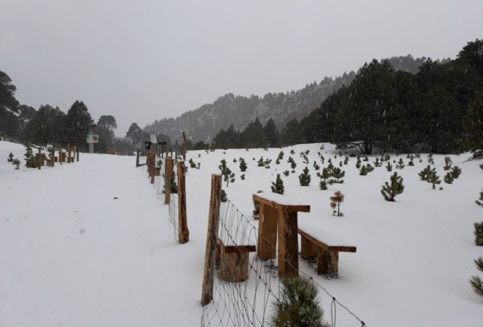 Lugar con Nieve sin Salir de Jalisco 1