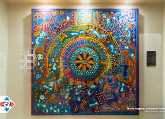 El Peyote como un cactus sagrado, ¡en el Museo Regional de Nayarit!