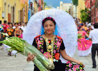 Nuestro Traje Típico de Nayarit: Características y Descripción