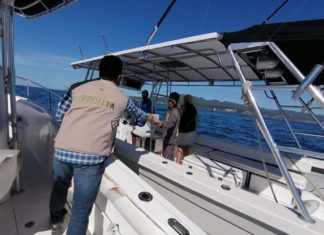PROFEPA y Bahía Unida se unen para Proteger Ballenas en Vallarta