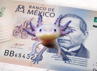 Tenemos Nuevo Protagonista en los Billetes de 50 Pesos, El Ajolote