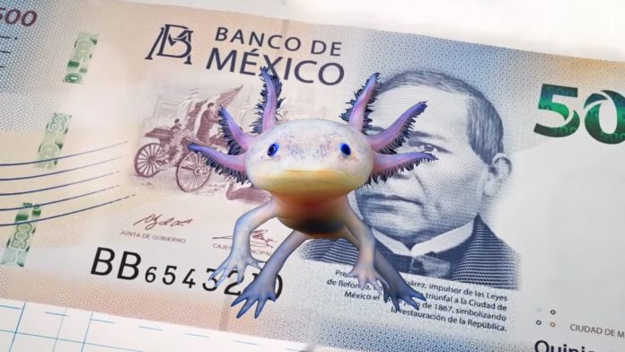 Tenemos Nuevo Protagonista en los Billetes de 50 Pesos, El Ajolote 1