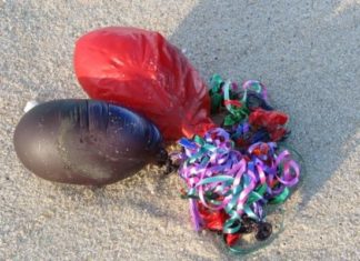 Los globos de helio: la principal causa de muerte de especies marinas