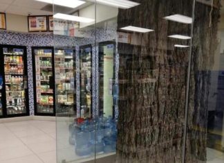 El oxxo que decidió NO talar un árbol y lo dejó en el interior