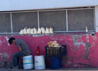 Se pide en redes apoyo a joven comerciante de Tepic
