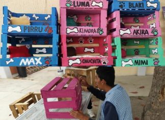Alumno del CAM pide apoyo para vender sus “camitas” para mascota